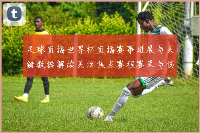 足球直播世界杯直播赛事进展与关键数据解读关注焦点赛程赛果与伤停影响